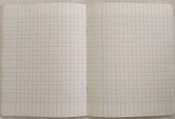 Cahier Séyès 96 pages - Privilège + qualité supérieure 9000 de luxe