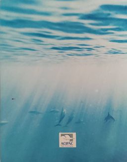 Cahier Recherche moyen - Prestige