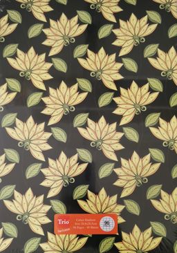 Cahier Etudiant Trio 96 pages