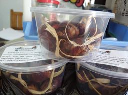 ခေါနုစုမ်_ချင်း၀က်အူချောင်း