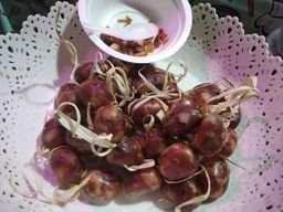 ခေါနုစုမ်_ချင်း၀က်အူချောင်း