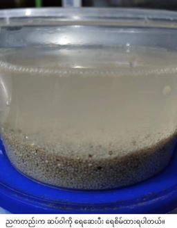 ခေါနုစုမ်_ချင်းရိုးရာ ဆပ်ဝါဆန်