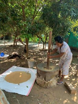 ခေါနုစုမ်_ချင်းရိုးရာ ဆပ်ဝါဆန်