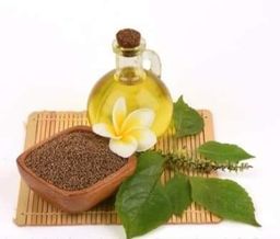 ခေါနုစုမ်_တောင်ပေါ်နှမ်း