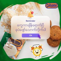 Calsome_Instant Nutritious Cereal 