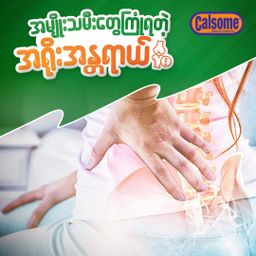 Calsome_Instant Nutritious Cereal 