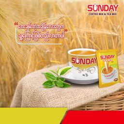 Sunday_Instant Teamix 