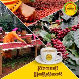 Premier_3 in 1 Instant Coffeemix 