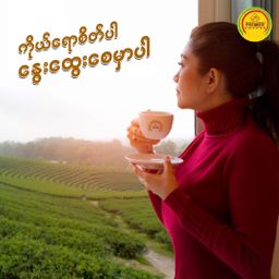 Premier_2 Plus 1 Instant Coffeemix 