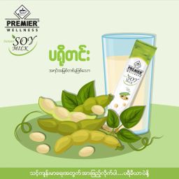 Premier Milk & Malt_Soy Milk