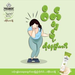 Premier Milk & Malt_Soy Milk