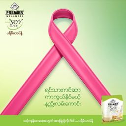 Premier Milk & Malt_Soy Milk