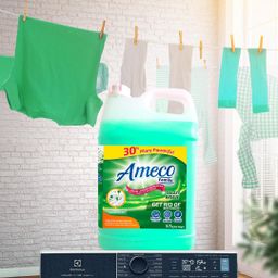 AMECO DETERGENT
