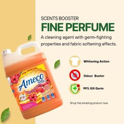 AMECO DETERGENT