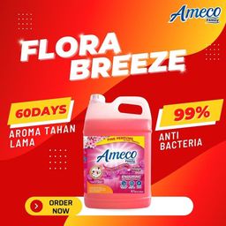 AMECO DETERGENT