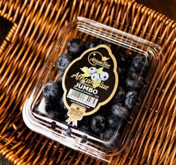 BLUEBERRY JUMBO AF(125gm) (2punnet)