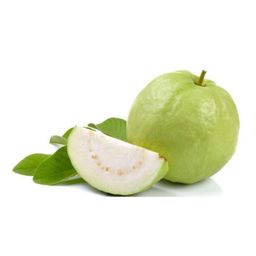 GUAVA SEEDLESS(THAILAND )(1kg)5pcs-6pcs
