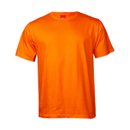 MEN CLASSIC T-SHIRT 