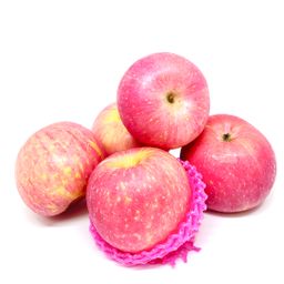 APPLE FUJI LARGE(CHINA)(10pcs)