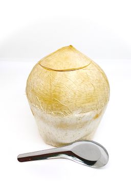 COCONUT BOTAK (THAILAND)(3pcs)