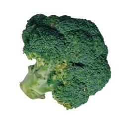 BROCCOLI (1kg)