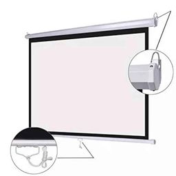 Wall Mounted Manual 1:1 Projector Screen