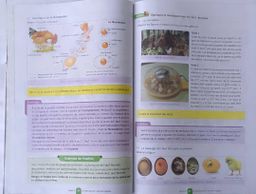 SVT Manuel (Valesse) - 6ieme
