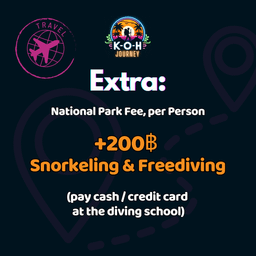 PADI Freediving License 🪪 - 3 Day Course (20% Deposit)