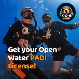 PADI Open Water Diving License 🪪 - 3 Day Course (20% Deposit)