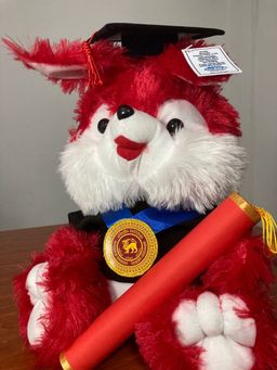 Graduation bunny