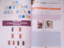 SVT / Cahier d’habileté - Tle D (JD Editions)