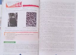 Mon Livre des SVT - 1ere A (JD Editions)