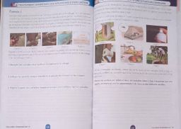 SVT / Cahier d’habileté - 4ieme (JD Editions)