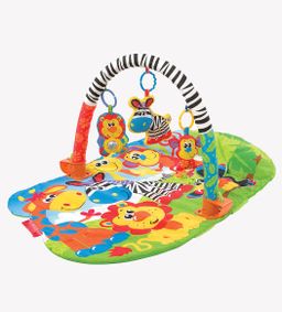 5 in 1 Safari Super Gym