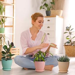 Plastic Flower Pot with Bottom Tray (5 Pcs Set)