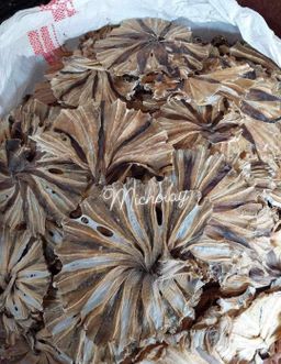 ရွှေဆင့်_ပင်လယ်စာခြောက်