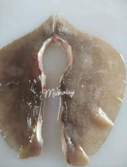 ရွှေဆင့်_ပင်လယ်စာခြောက်