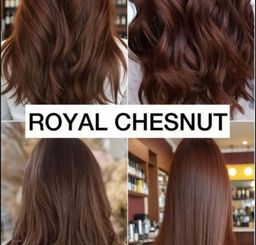 ROYAL CHESTNUT (𝐈𝐍𝐒𝐓𝐎𝐂𝐊 𝐂𝐎𝐌𝐈𝐍𝐆)