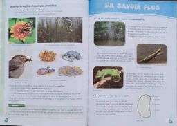 Sciences et Technologies CE1 (Collection Oxygène) - Les Classiques Ivoiriens