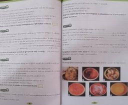 6ieme SVT Cahier d’activité - Les Classiques Ivoiriens