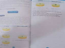 5ieme SVT Cahier d’activité - Les Classiques Ivoiriens