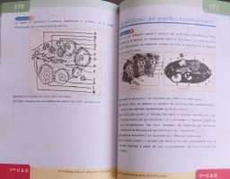 TOP CHRONO SVT 1ere CD (Editions Matrice)