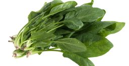 espinaca 1 kg