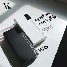 V.Jun_Advance Powerbank