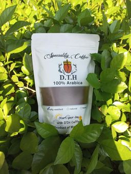 DTH Coffee