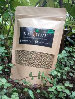 Kanyaw Coffee
