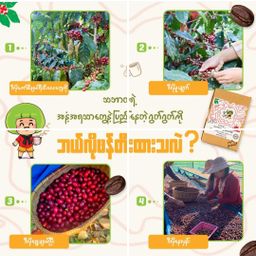 Good Good_3 in 1 နှပ်ကော်ဖီ