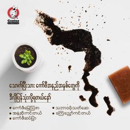 Genius_Coffee Powder