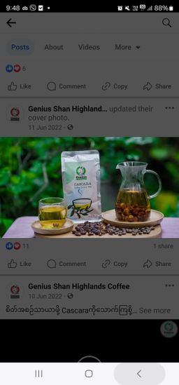Genius_Cascara Tea 