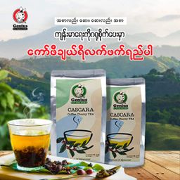 Genius_Cascara Tea 